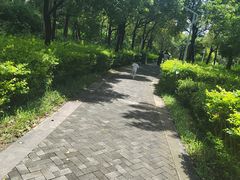 -福田红树林生态公园