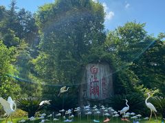 -广州白江湖森林公园