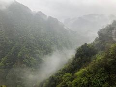 -江南天池