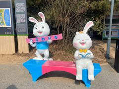 -日照海滨国家森林公园