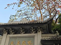 -长洲岛