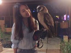 -清迈夜间动物园