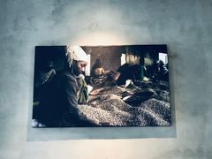 -野鸽子咖啡(中航店)