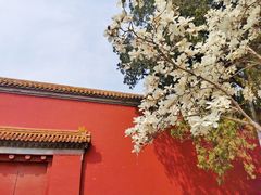 -北京市劳动人民文化宫(太庙)