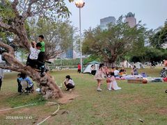 -万绿园