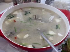 -煲来饱去冷水鱼