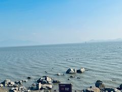 -深圳湾公园(南山区)