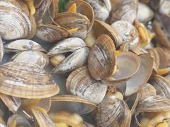 丹东白蚬子一锅鲜-烧货·活海鲜炭烧(湖滨商业街店)