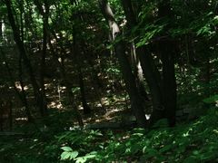 -五女山景区