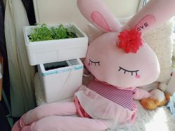 -净妍美肌专业净毛嫩肤连锁机构