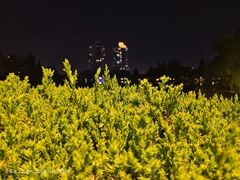 -南通濠河风景名胜区