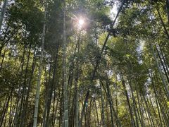 -同里国家湿地公园