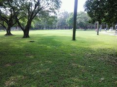 -中山大学学者灵芝(园南路店)