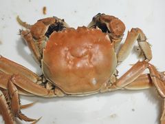 -圣罗巴海鲜烤肉自助(佳兆业店)