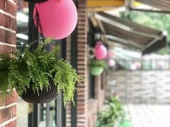 -贝贝宠物乐园(常青花园店)