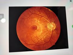 -海珠新都荟城光荟(海珠店)