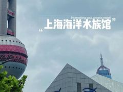 -上海海洋水族馆