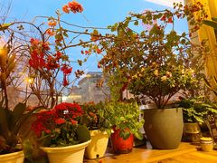 -云之南(八里庄店)