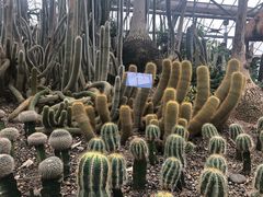 -南山植物园