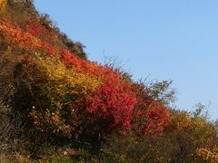 -香山公园