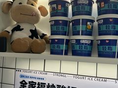 -白色日记·手作酸奶(麦凯乐店)