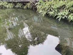 -大妙火锅·非物质文化遗产(东湖公园店)