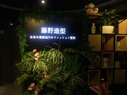 点击看大图 -藤野造型