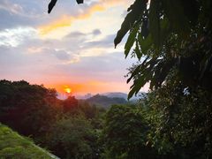 -深圳仙湖植物园