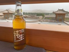 -敦煌山庄摘星阁