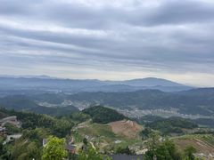 -紫鹊界梯田景区