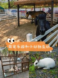 -268童话露营营地·烧烤·团建
