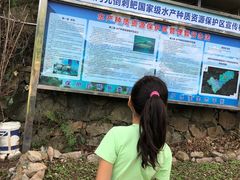 -广州市流溪河国家森林公园