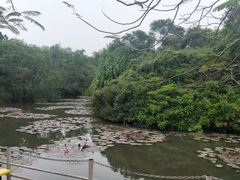 -白沙门生态公园