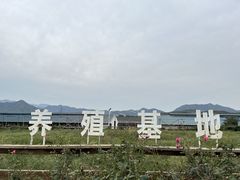 -君乐宝优致牧场