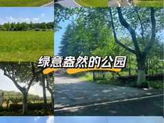 -宜兴龙背山森林公园