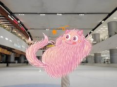 -TheRink大零溜冰场(IFS国金中心店)