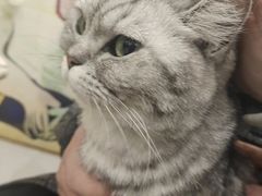 -共舞时光猫咖·狗咖(新街口店)