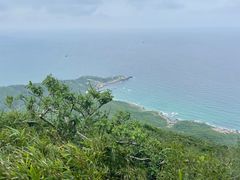 -海南铜鼓岭景区