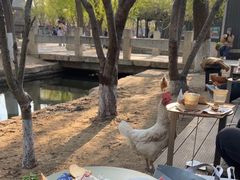 -春风习习