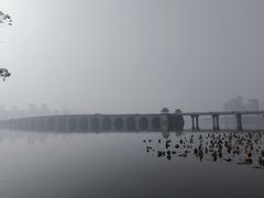 -武汉动物园