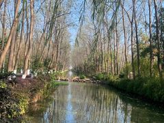 -合肥滨湖国家森林公园