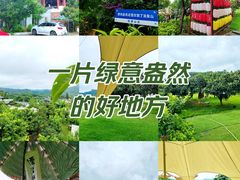 -桃源山庄·水蜜桃采摘·柴火鸡·烧烤团建(龙泉山店)