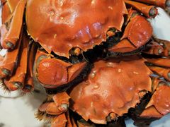 -芸海阁·农家私房菜(沙家浜景区出口店)