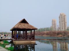 -前关湿地公园