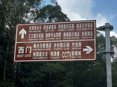 -南国桃园旅游度假区