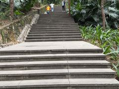 -铁山坪森林公园