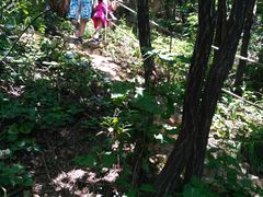 -大连天门山国家森林公园