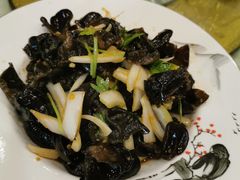 -陶然饺子城(奥体中路店)