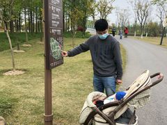 -上海长兴岛郊野公园