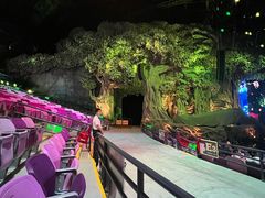 -广州长隆国际大马戏